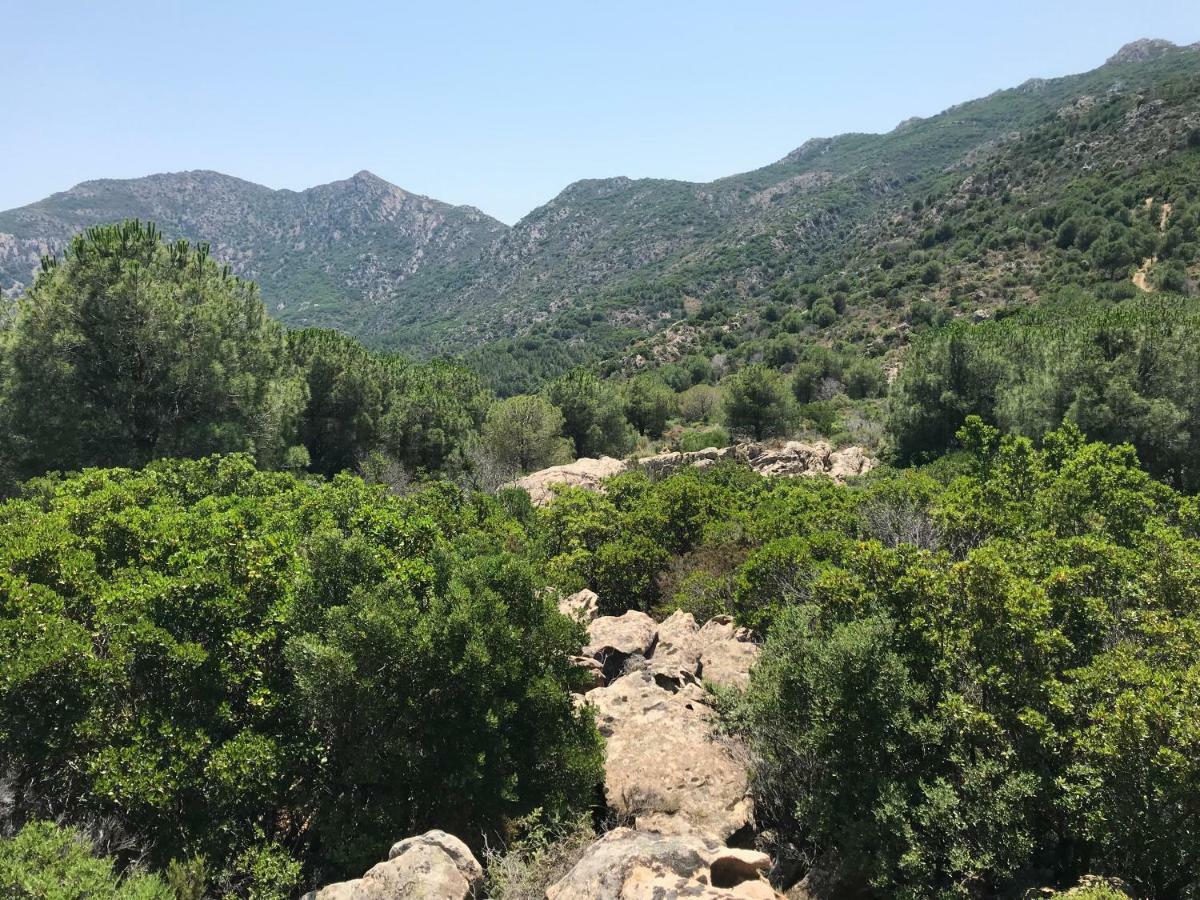 Il Viandante Ξενοδοχείο San Teodoro  Εξωτερικό φωτογραφία